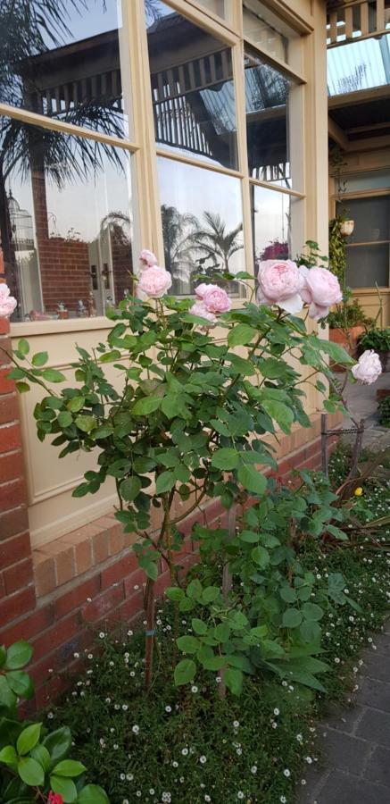Oxford Rise Apartment Bayswater Luaran gambar